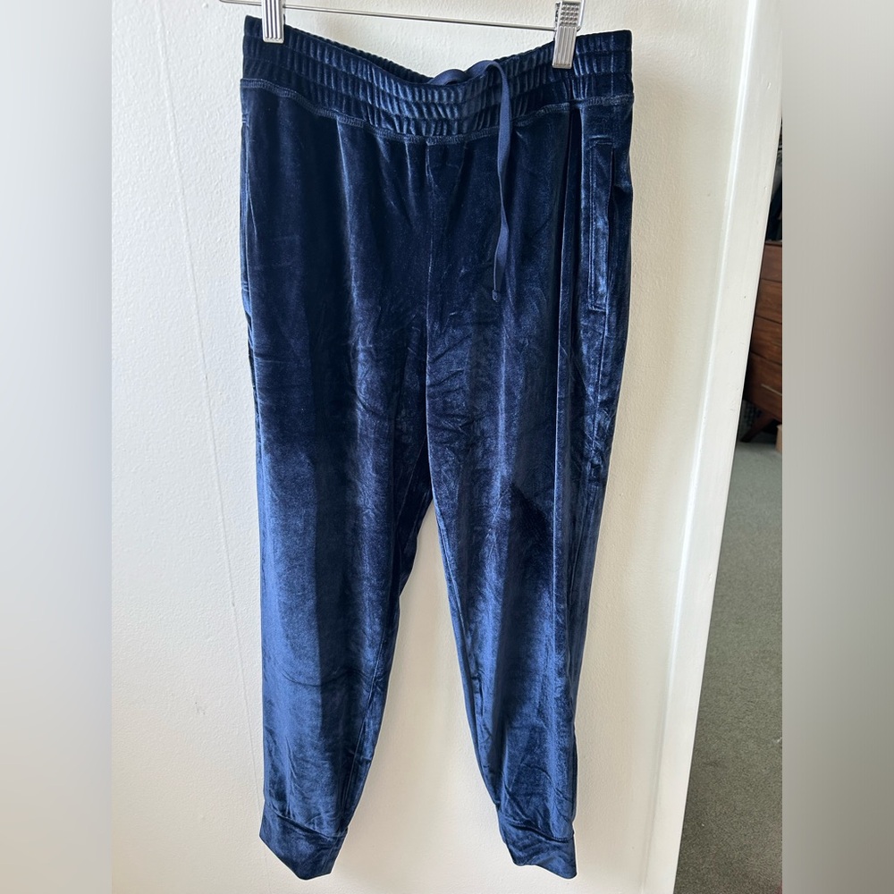 Fabletics Navy Blue Velvet Joggers